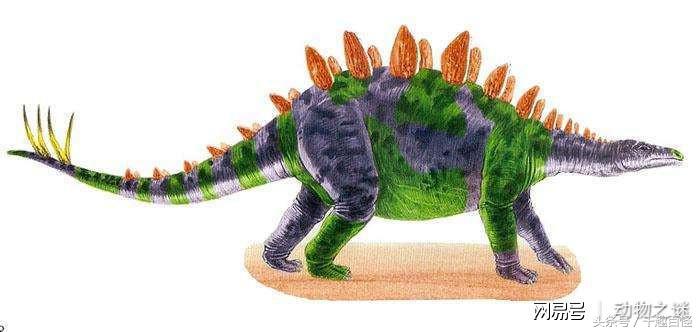 真实的恐龙长相,真正的恐龙到底是什么颜色