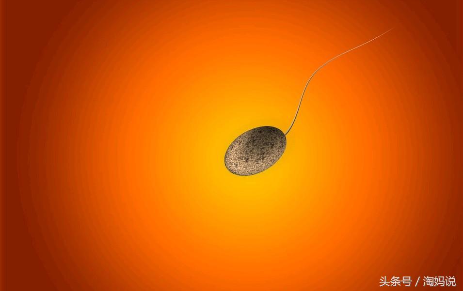 胎儿发育40周全过程注意事项,赞宝宝训练抬头的句子