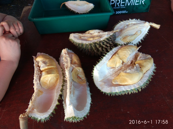 马来西亚云顶旅游攻略,马来西亚游玩穿搭