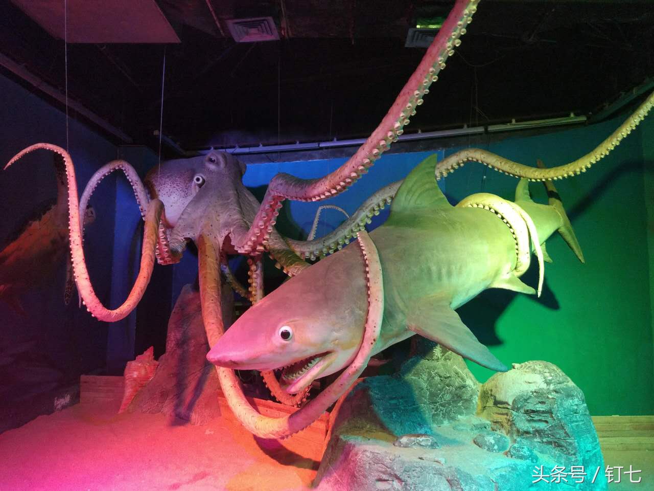 夏天与海绝配,夏天与海洋更配的图片