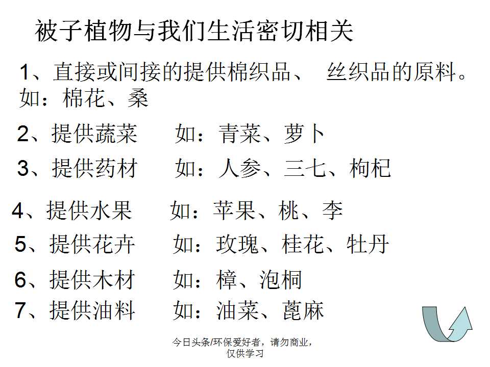 认识植物从身边开始,认识植物的根茎叶各个部分