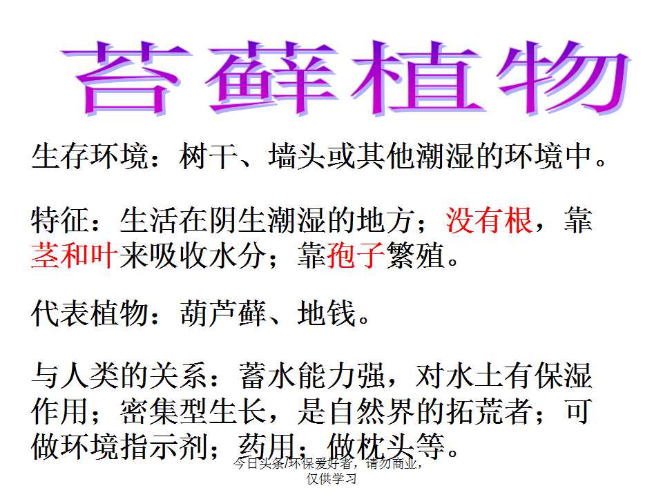 认识植物从身边开始,认识植物的根茎叶各个部分