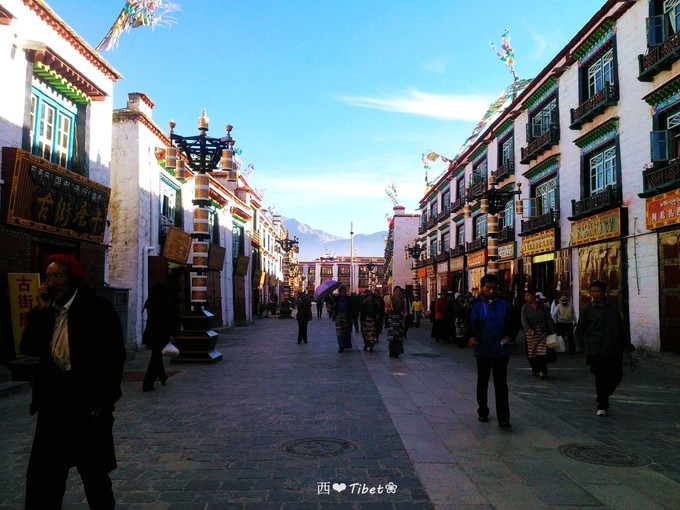 奥古斯都,August的格桑花秘境：我养你！带你去*藏西**啊！