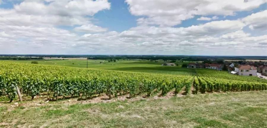 一级园和二级园的区别价格,省级园好还是1级园好