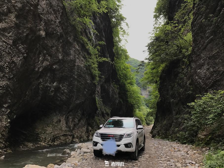 加价福特猛禽2021款,加价买猛禽