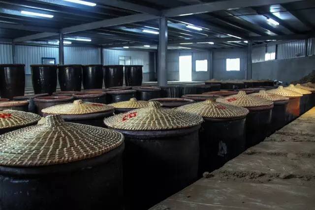 如果你是个不爱吃醋的人，那你一定还没遇到——TA！哈哈哈