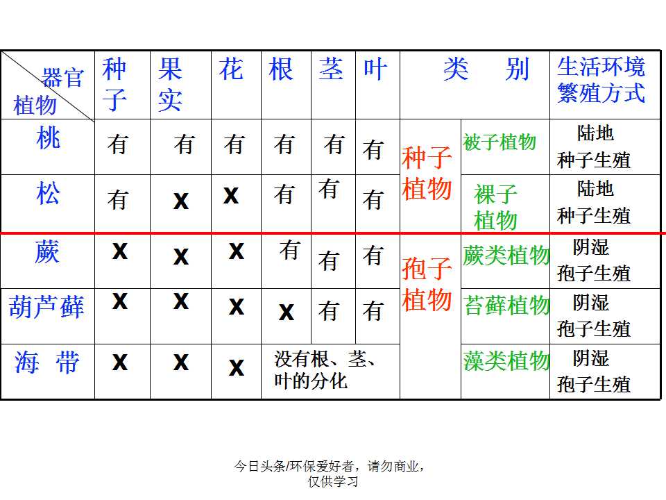 认识植物从身边开始,认识植物的根茎叶各个部分