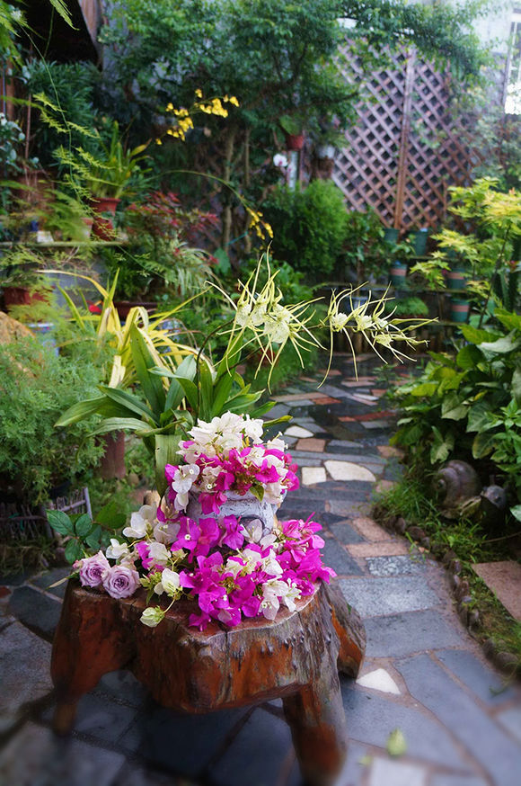 养花用什么药对人有危害,家里养花用农药的危害