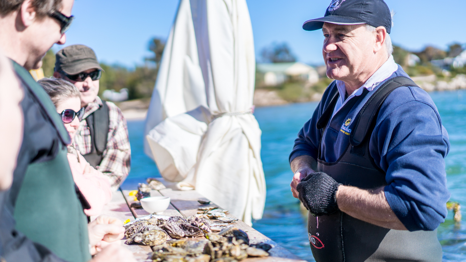 澳洲生蚝哪里最好,全球顶级生蚝多少钱一个