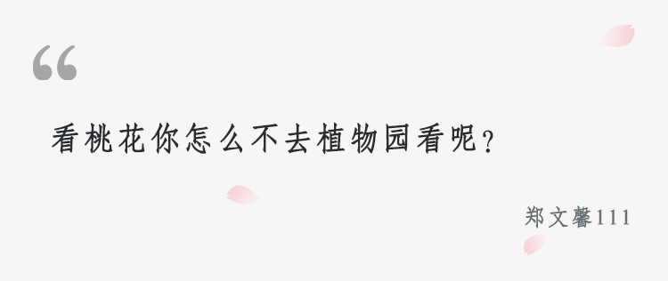 新片热评｜电影《三生》真的是舌尖上的青丘？