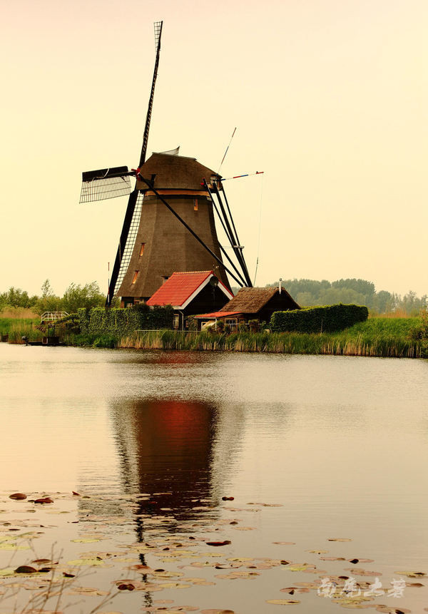 荷兰现在能不能去,什么时候不能去荷兰