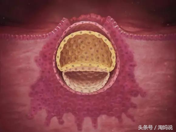 胎儿发育40周全过程注意事项,赞宝宝训练抬头的句子