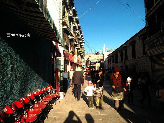 奥古斯都,August的格桑花秘境：我养你！带你去*藏西**啊！