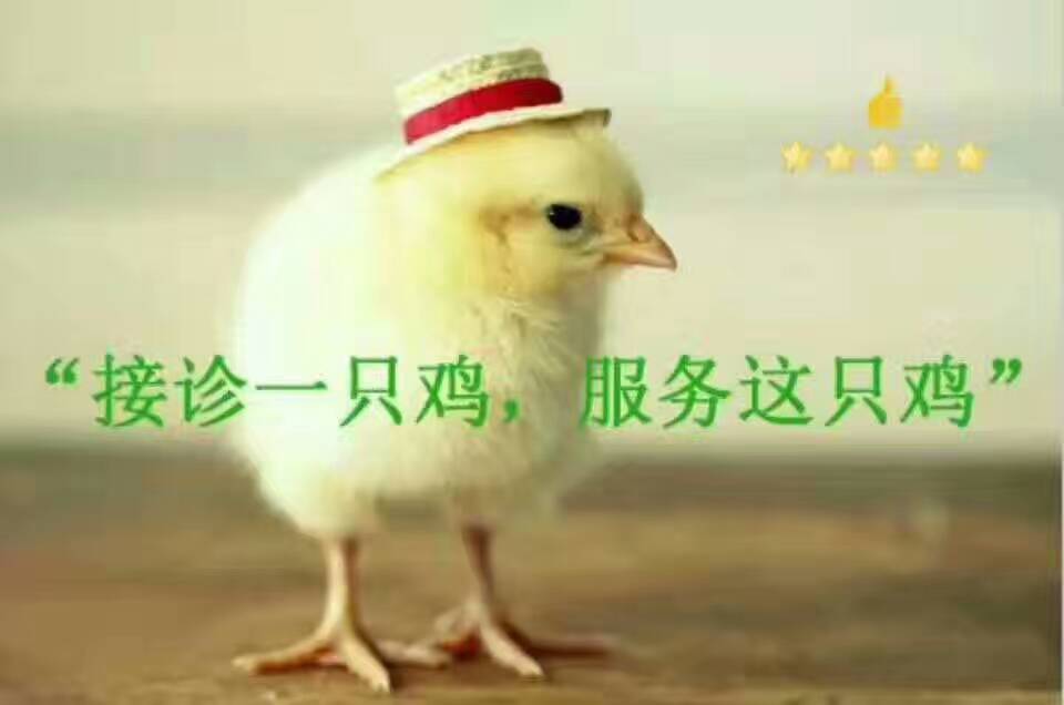 鸡白色念珠菌用什么药,白色念珠菌是什么原因形成的