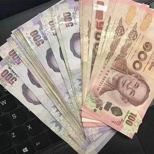 一路向北浪漫美丽的夏季,一路向南从冬天到夏天