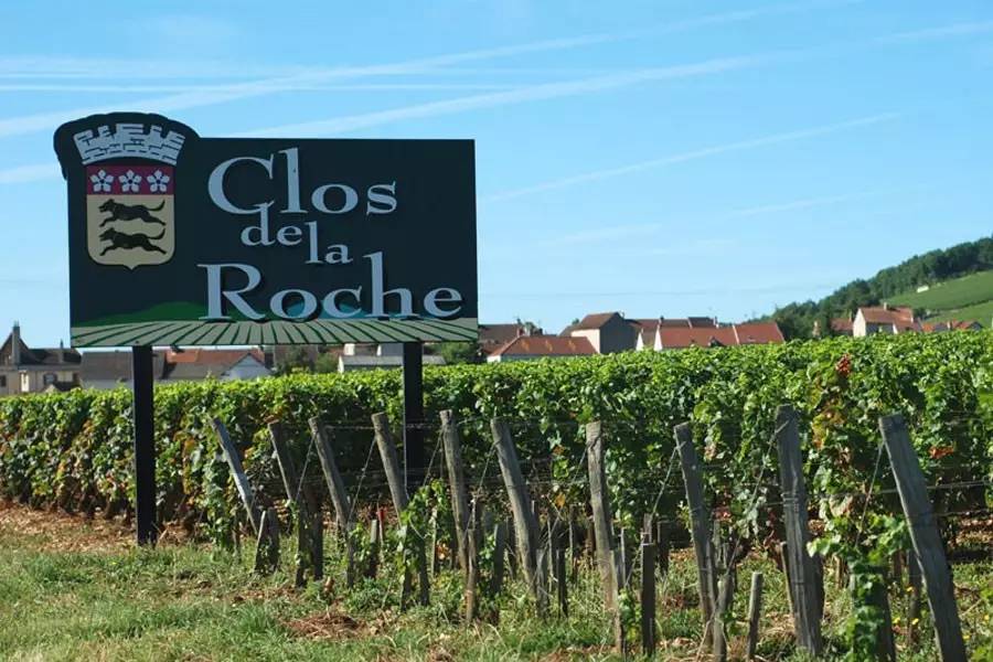 一级园和二级园的区别价格,省级园好还是1级园好