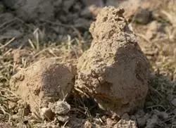 看了下手边的厕纸，我流下了感激的泪水