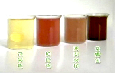 肾出现问题尿液有什么变化,肾病患者尿液增多怎么回事