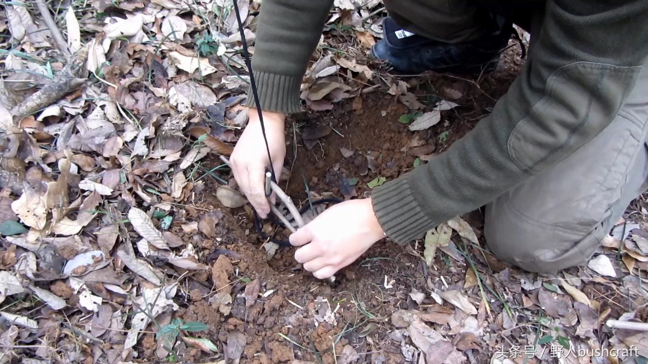 荒野求生非常好用的野鸡野兔吊脚套陷阱