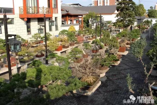 清逸园，一座闹中取静的“文人园林”