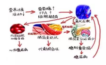 肥胖引起的血糖高怎么快速降下来,肥胖患者降血糖应该怎么做