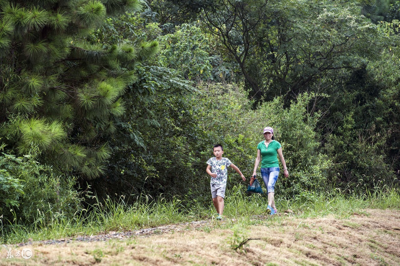 为什么很多人反感健步走,健步走错误