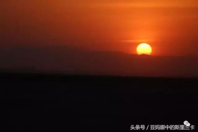 风动？树动？心动！致你，Kenya