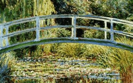 鱼缸养睡莲的养殖方法视频,家庭养睡莲用多大的缸合适