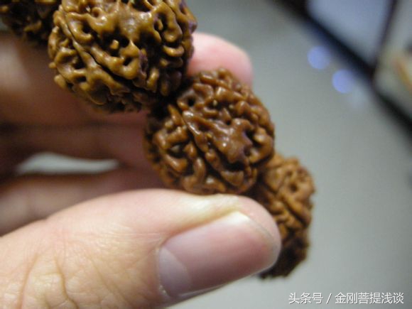 金刚菩提阴皮什么意思,金刚菩提子返碱的正确处理方法