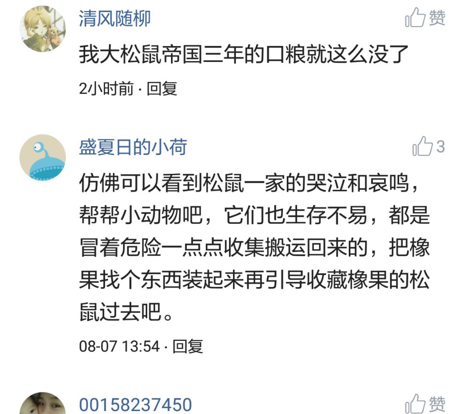那些搞笑的评论之一松鼠说，那是我娶十房姨太的钱