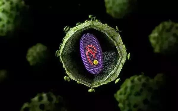 强生hiv疫苗,强生疫苗事件