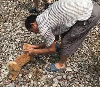 被遗弃的天使,被遗弃的三个天使