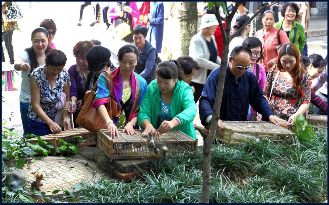 优质客户的获取渠道有哪些,如何寻找100个优质客户