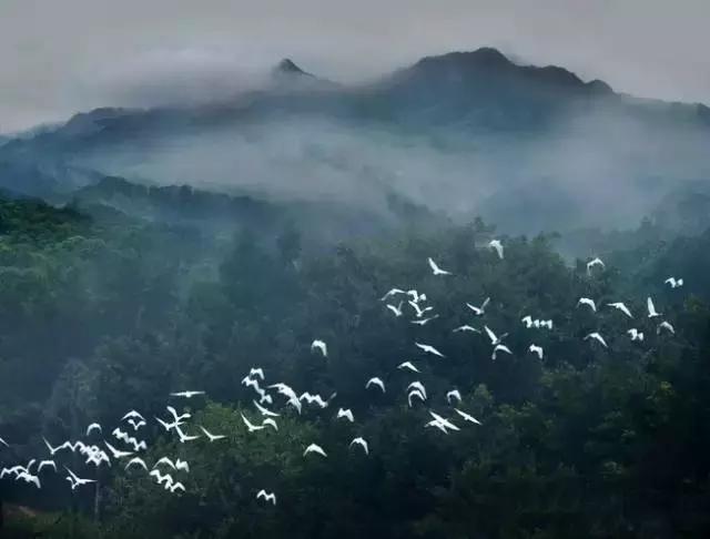 花如此多娇,花都如此多娇全文免费阅读