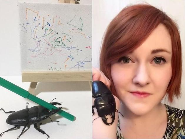 你养的宠物只会花钱，人家日本美女养的宠物会画画，还能挣钱