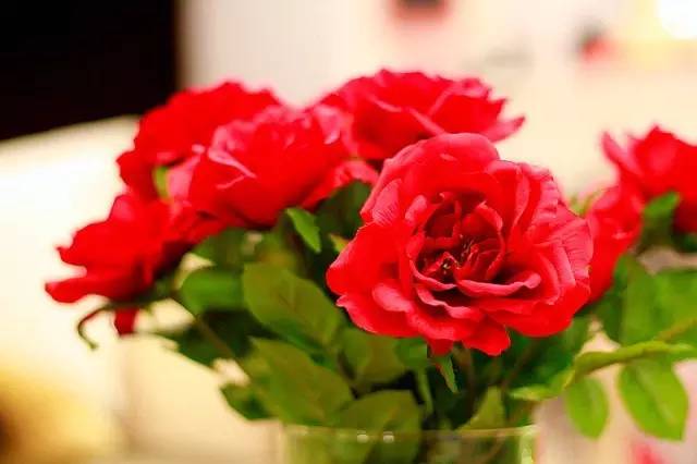 深圳海边民宿适合小朋友的民宿,青岛海边客栈民宿