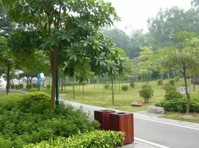 花如此多娇,花都如此多娇全文免费阅读