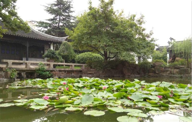 无锡夏天免费避暑地方,无锡江南第一小镇