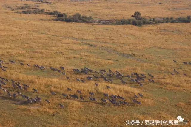 风动？树动？心动！致你，Kenya