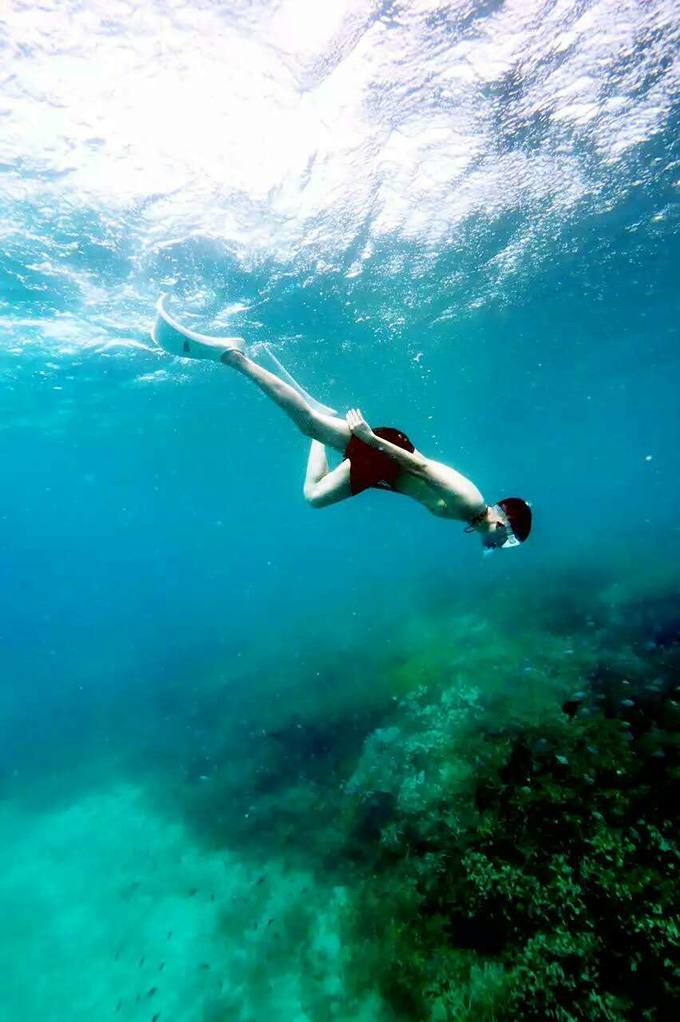 一起去帕劳旅游,去帕劳旅游自由行攻略