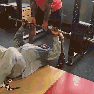 NFL训练分析之詹姆斯哈里森——上肢动作篇大汇总