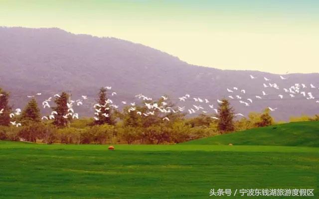 怎么形容高尔夫打得好专业术语,高尔夫英语专业术语