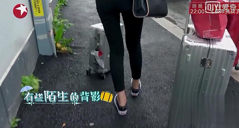 乔欣林志玲水杯大pk，哪一款才是你的菜？