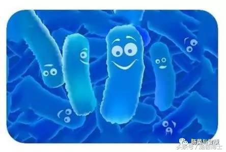 不会选益生菌?知道这十条金标准就够了!