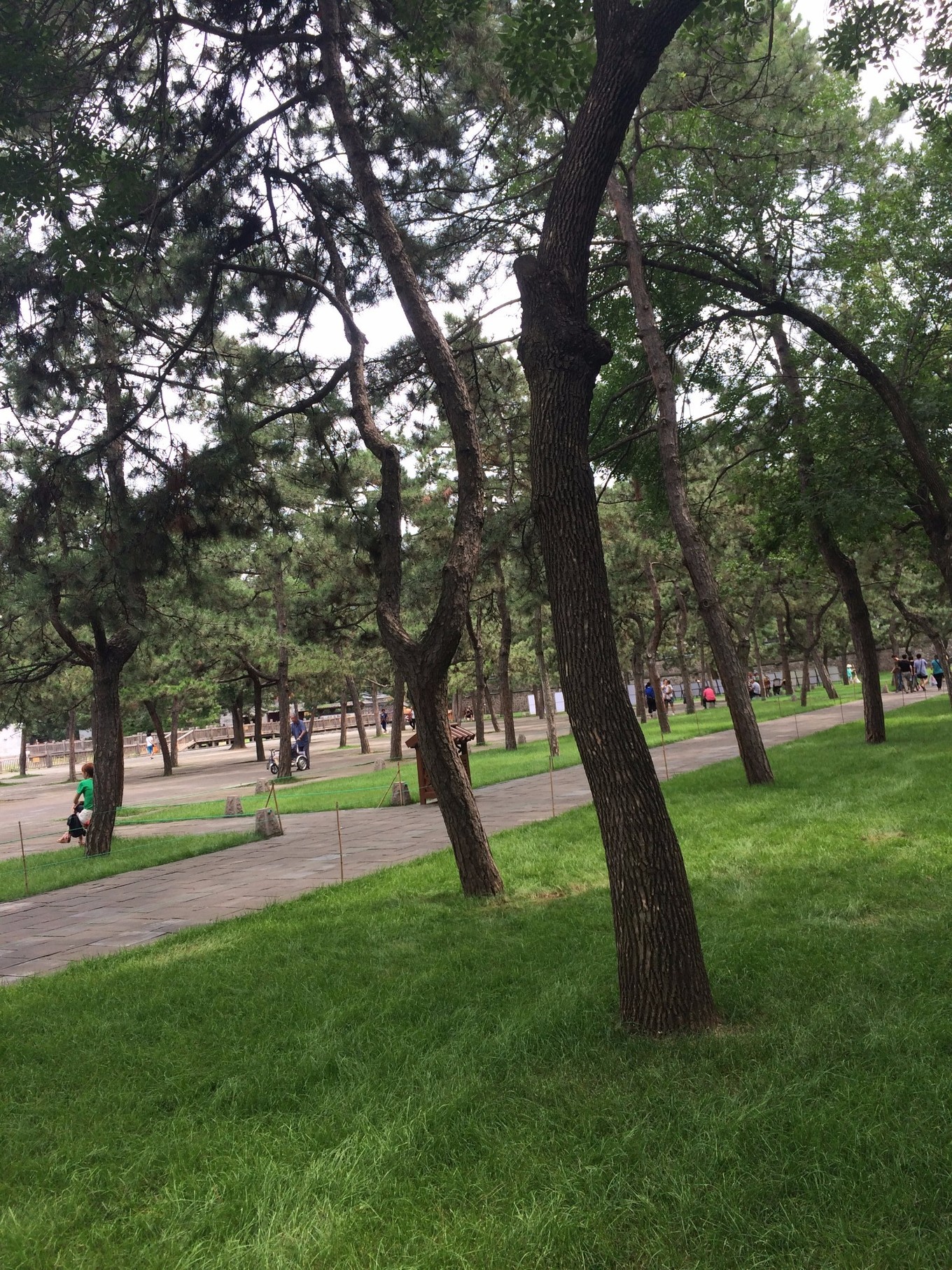 承德15人的民宿推荐,承德紫塞网农家院攻略