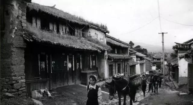 云南茶叶发展,云南茶叶企业发展现状