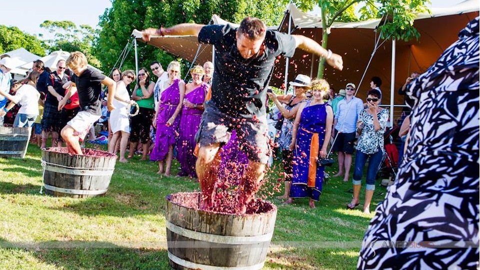 国外葡萄酒是用脚踩的吗,脚踩出来的葡萄酒好喝吗