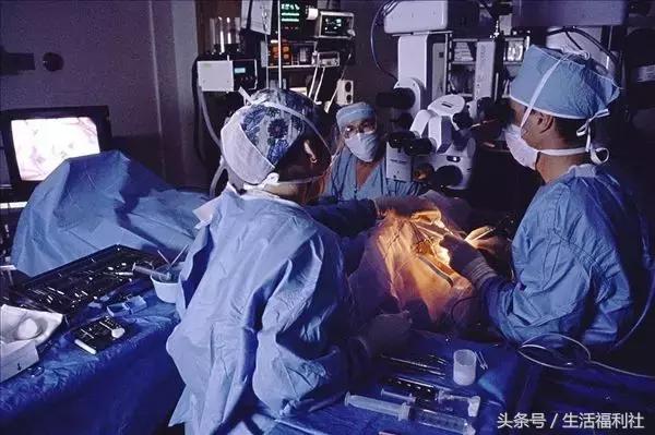 今天哈尔滨哪里免门票,2019哈尔滨免费优惠活动