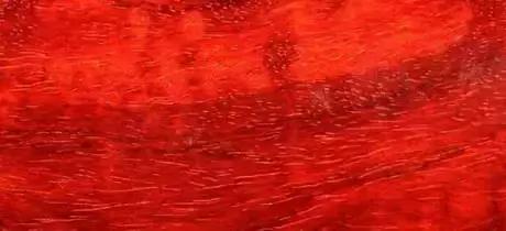 小叶紫檀最快辨别真假的方法,怎样鉴别小叶紫檀手串真假