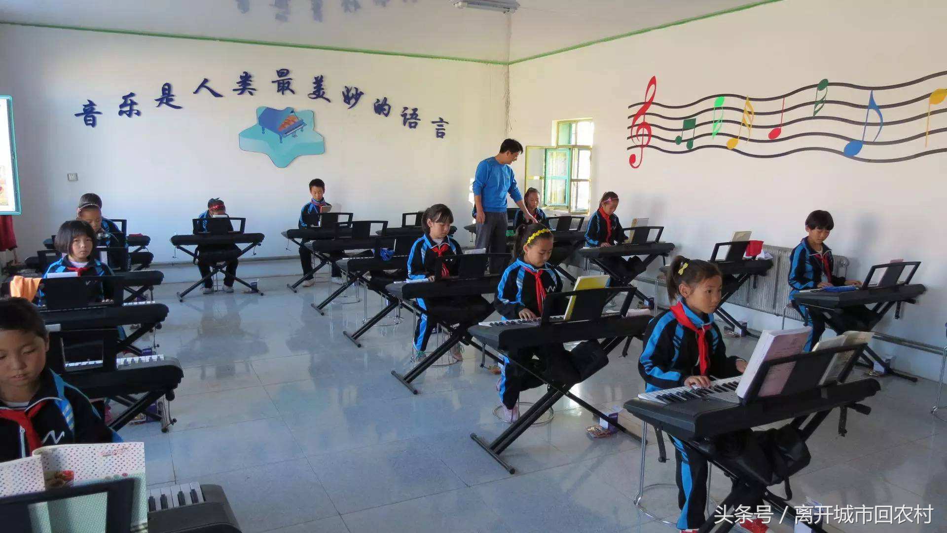 大学生回农村创业有什么政策,大学生回农村创业有哪些好项目